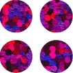 Holographic Fuchsia